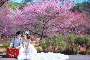 我的八字里是否有桃花，是不是容易遇到感情纠葛呢？