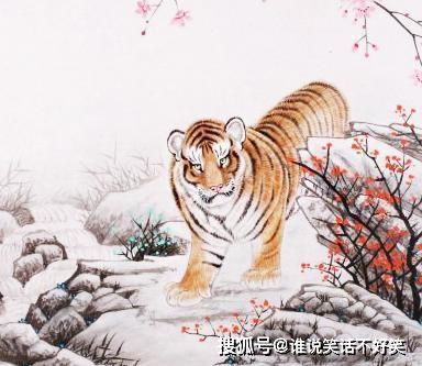 一、 鼠年生女：从理想主义到现实主义的跨越