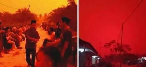 镜中人的更多种表现形式