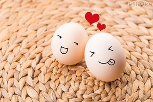 生鸡蛋用于风水布局，其效果如何？