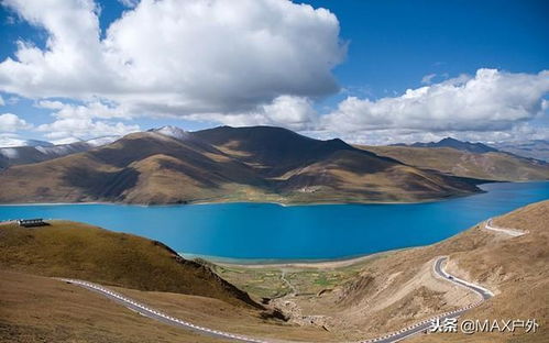 血泪经验：2026年最新避坑指南