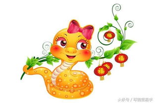 1. 属牛女与鼠/鸡/蛇男之匹配机制