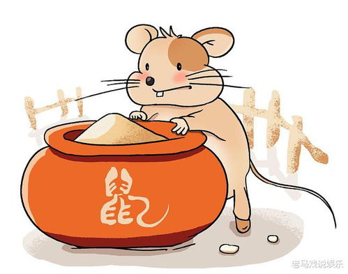 一、 炎热爱情运程：情感脉络与现实考量