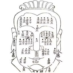 ：面相学视域下的面部印记与情感运势之关联性探究