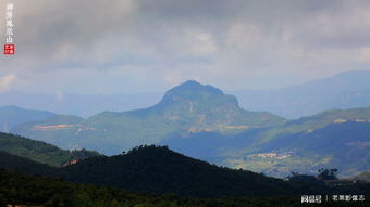 三个月内好风水能见效吗？三鸟朝凤风水宝地位置如何调整？