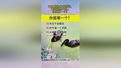 恍然大悟打一生肖，是哪个生肖让你豁然开朗？