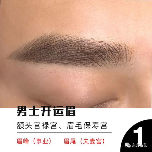 二、 常见眉毛形状及其对应的运势解析