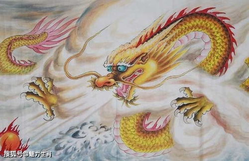 属龙五行喜水缺木的人，适合什么样的手机号码呢？