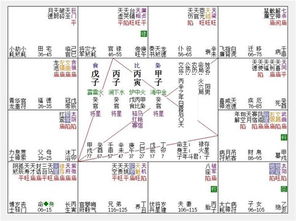 1. 紫府同宫格