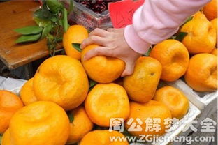 梦见别人送桔子代表什么吉凶？