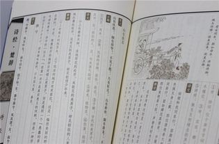 不同风格的名字示例