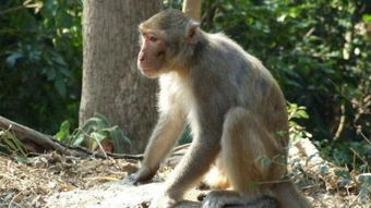 三、结合湘潭的地域特色