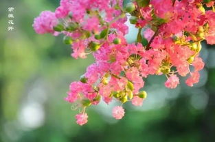 三、 场地布置注意事项及其风水效应评估