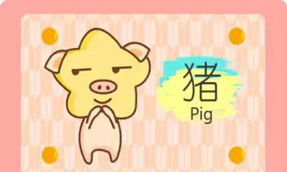 四、 借助外力：生肖饰品、转运珠及慈善事业对个人运势的影响