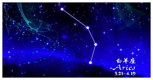白羊座 - 暴脾气的小羊羔