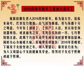 学术分析：文化认知与现代解读
