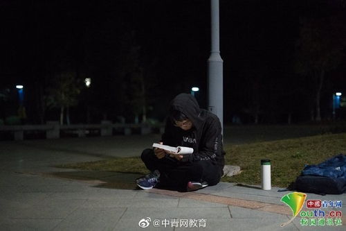五、 月光下的街道与亡魂的凝视