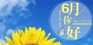 核心发现：农历六月十六在四大活动中的适宜性综合阐释