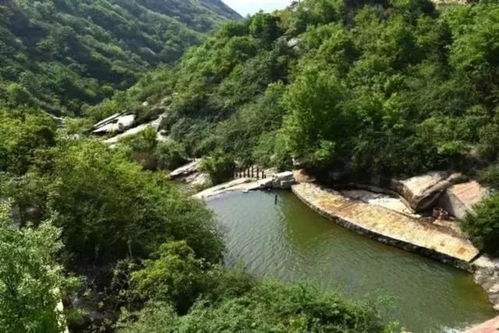 吃货的自我修养：从酸辣到咸鲜的味蕾冲击