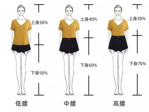 62年出生的身材好的生肖属什么？