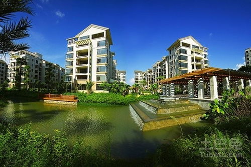 3. 商业风水的功利导向