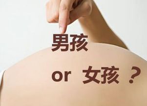 三、 从“印星”看母亲关系：象征意义与现实映射