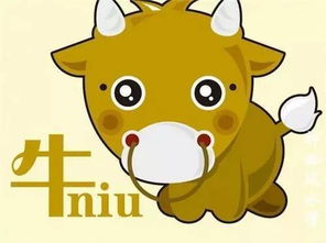 73年属牛女性今日财运运势如何？具体运势分析是什么？