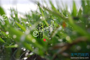 其他经典谚语及其深层含义