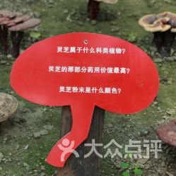 提前买票？呵呵你以为你买的是演唱会门票啊