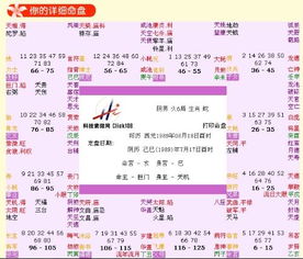 4. 太阴星在亥宫对男女后代的作用于