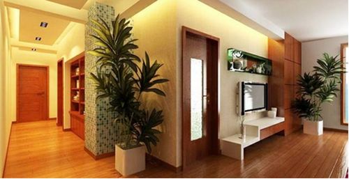 2. 内部气场的精准测量