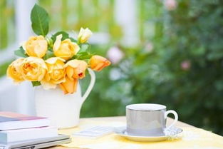 三、 植物点缀：营造生机勃勃之气场