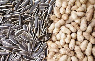 四、 孕妇の花生魔咒