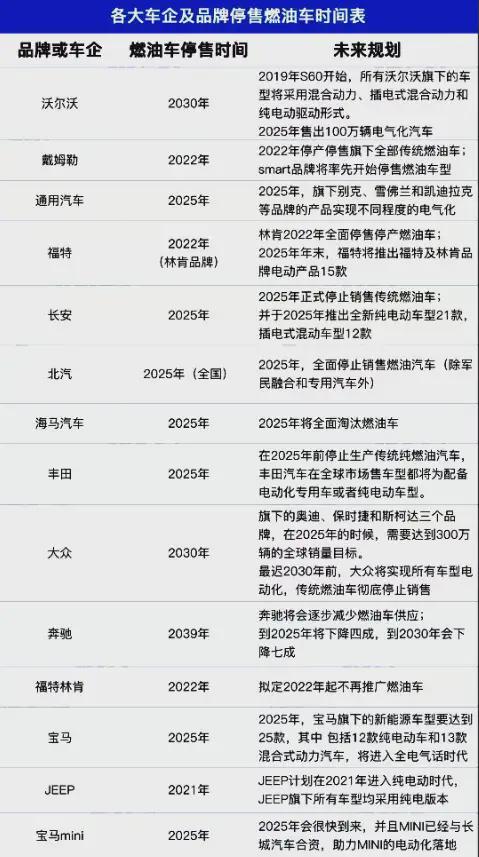 定制化建议 (请勿当真!)