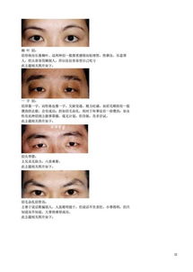 如何根据八字眼特点，挑选最适合自己的十二种眉形？