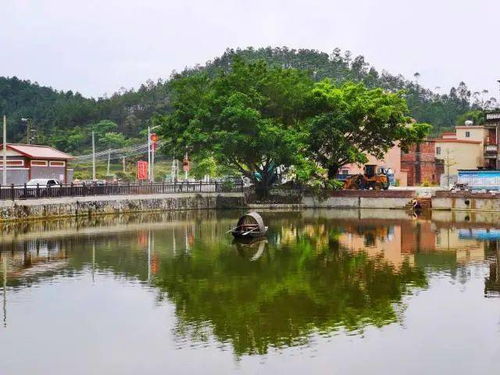 交通：灵魂的考验