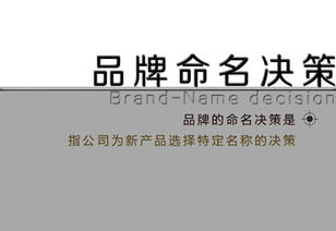 二、命名原则：三大法则与实用考量