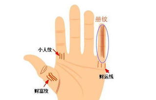 招财手相特征：一览