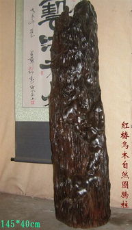 至阴之物的双刃剑效应