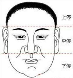 二、 鼻短而细，戴眼镜添财运