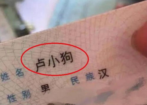 不走寻常路才是真霸气