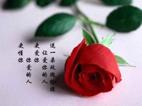 四、 禁忌提示：金属材质与布艺制成虚虚假植物的不利关联