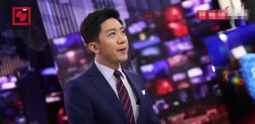 新生代鲍姓明星的新锐力量