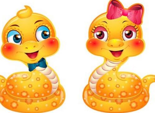 属狗女性适合佩戴的转运吉祥物是什么？