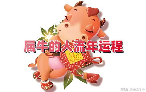 牛和狗的八字合不合，他们的婚姻会幸福吗？