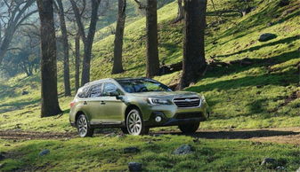 二月购车哪一天最吉利？属虎人购车最佳吉日是哪天？