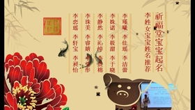 二、 夏姓宝宝起名常用字推荐