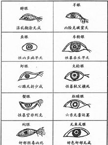 三角眼男性面相之学术阐释