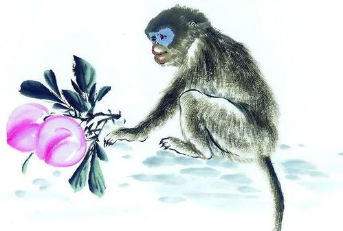 猴哥在此！属猴人驾到！