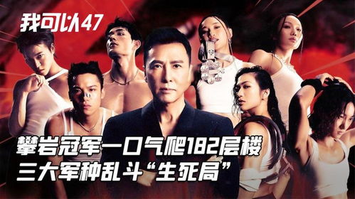 临危不乱：果断决策与命运之门